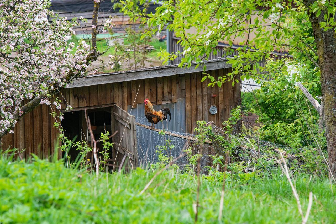 Gut Tausendbachl Lejlighed Regen Eksteriør billede